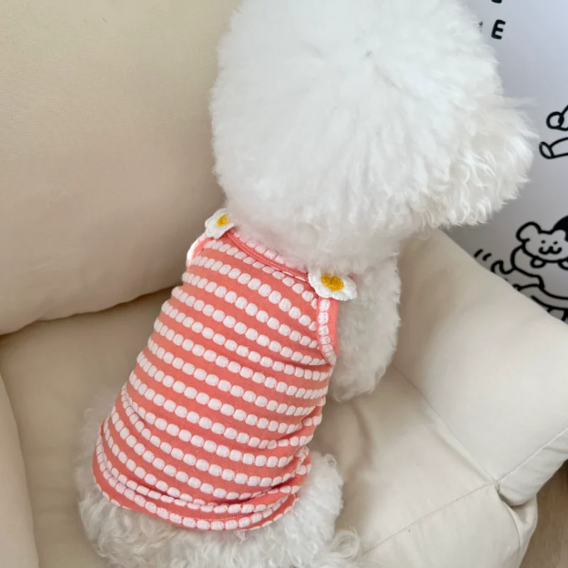 Ropa de verano para cachorros, Vestido elegante para perros de razas pequeñas, Falda corta para mascotas, Ropa Perro de una pieza de Pomerania, disfraz, Vestido - imagen 2