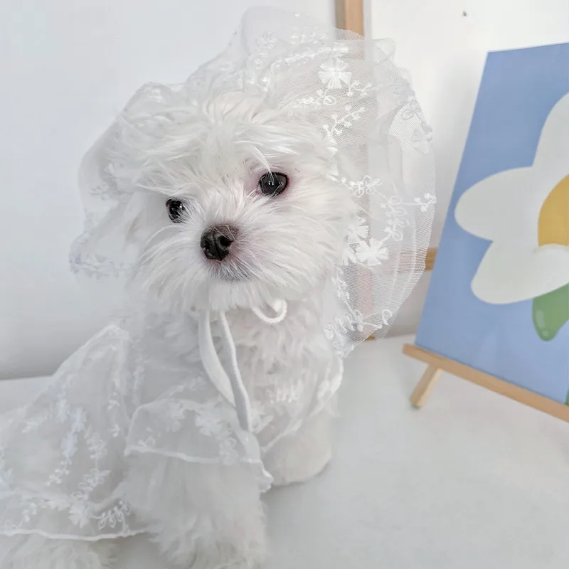 Vestido de encaje blanco de princesa para deshierbe de perro, malla fresca para gato, ropa para perros pequeños y medianos, Chihuahua, falda para mascotas, nuevo