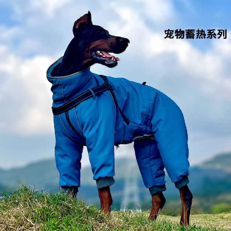Abrigo invierno perro impermeable cortavientos Labrador Border Collie - imagen 2