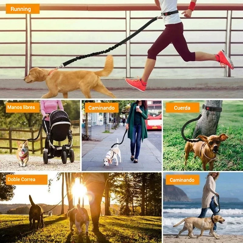 Correa Reflectante para Perros con Amortiguación, Manos Libres y Ajustable, Doble Asa, Ideal para Correr, Tira Reflectante para Seguridad Nocturna, Cuerda de Poliéster Duradera - imagen 4