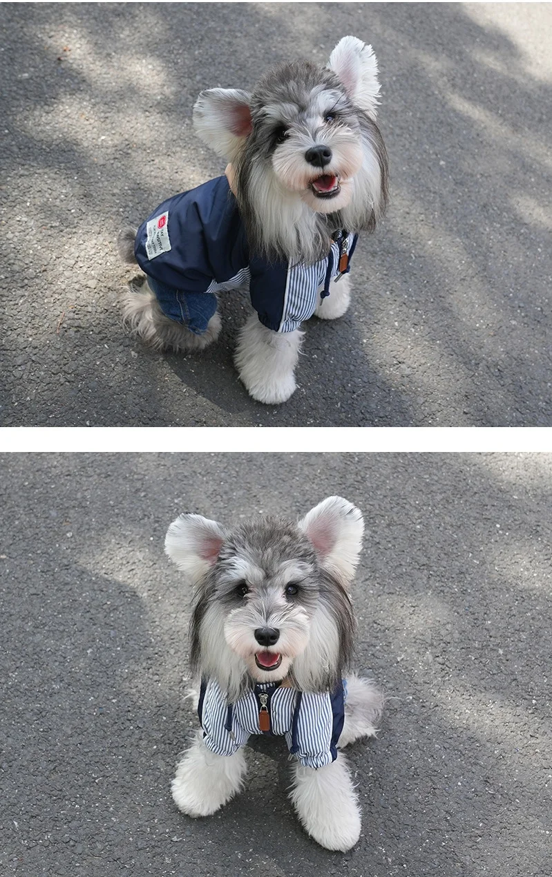 Sudadera con capucha Extra cálida para perros, chaqueta para perros pequeños, abrigos con capucha para cachorros, abrigo para perros con anillo de correa, ropa a prueba de viento para perros - imagen 4