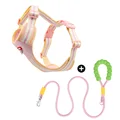 pink and Leash Set