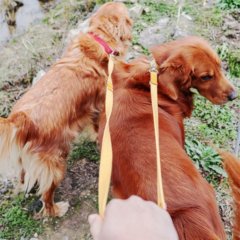 Correa de nailon para perro, correas dobles multifuncionales de 2,5 M de largo para caminar, productos para mascotas - imagen 5