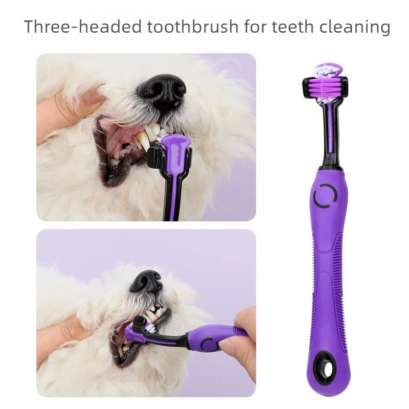 Kit de peluquería profesional para gatos, perros – peines cepillos