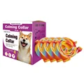 colored Dog 63.5cm