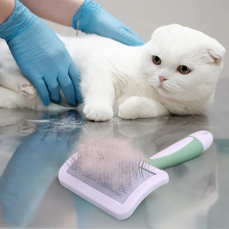 Cepillo removedor de pelo para perros, cepillo de acero inoxidable para masaje, cepillo de aseo para mascotas, Herramientas de limpieza para depilación, suministros para mascotas - imagen 2