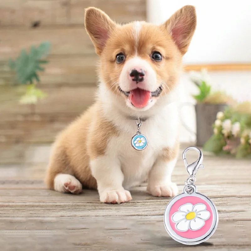 Etiqueta identificación - Detalle del sistema de identificación