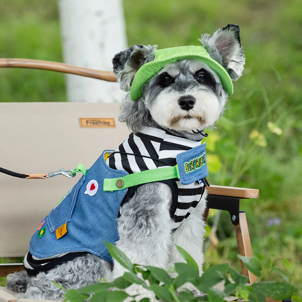 Chaleco de cuerda de plomo ajustable para perros y gatos, correa de plomo práctica para caminar al aire libre para primavera y verano, accesorios para mascotas y gatos pequeños