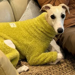 Chaqueta terciopelo verde para perro – Abrigo cálido de invierno