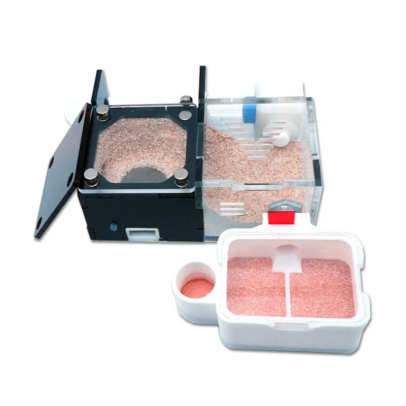 Granja de hormigas de hormigón, minicámara de tierra profunda con área de alimentación, taller de hormiguero para mascotas con alimentador de agua, nido de hormigas, caja de insectos, nuevo - imagen 5