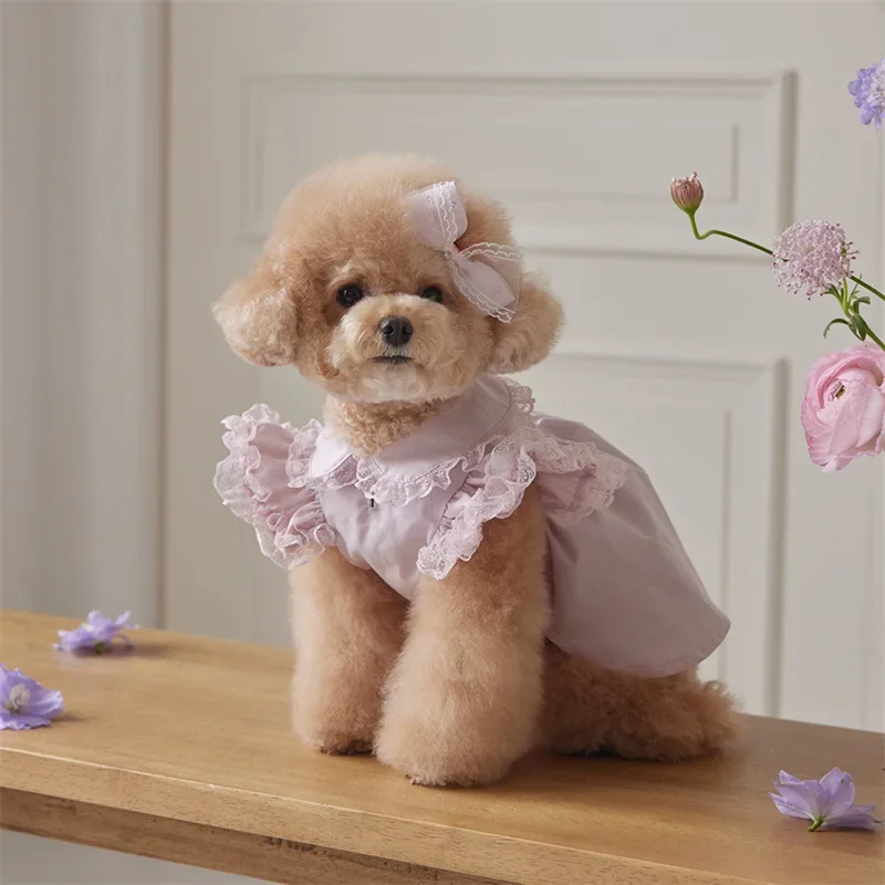 Vestido de encaje de princesa para mascotas, ropa de moda para perros y gatos, camisa con mangas voladoras, oso de peluche, ropa para perros pequeños, ropa para cachorros