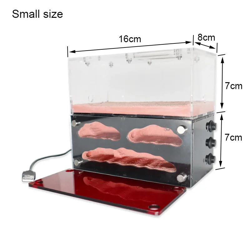 Casa de granja ecológica de hormigas con luces independientes, Control de nido de hormigas, insecto de hormigón, Hotel, antill para mascotas, taller, 3 luces, casa de hormigas - imagen 3