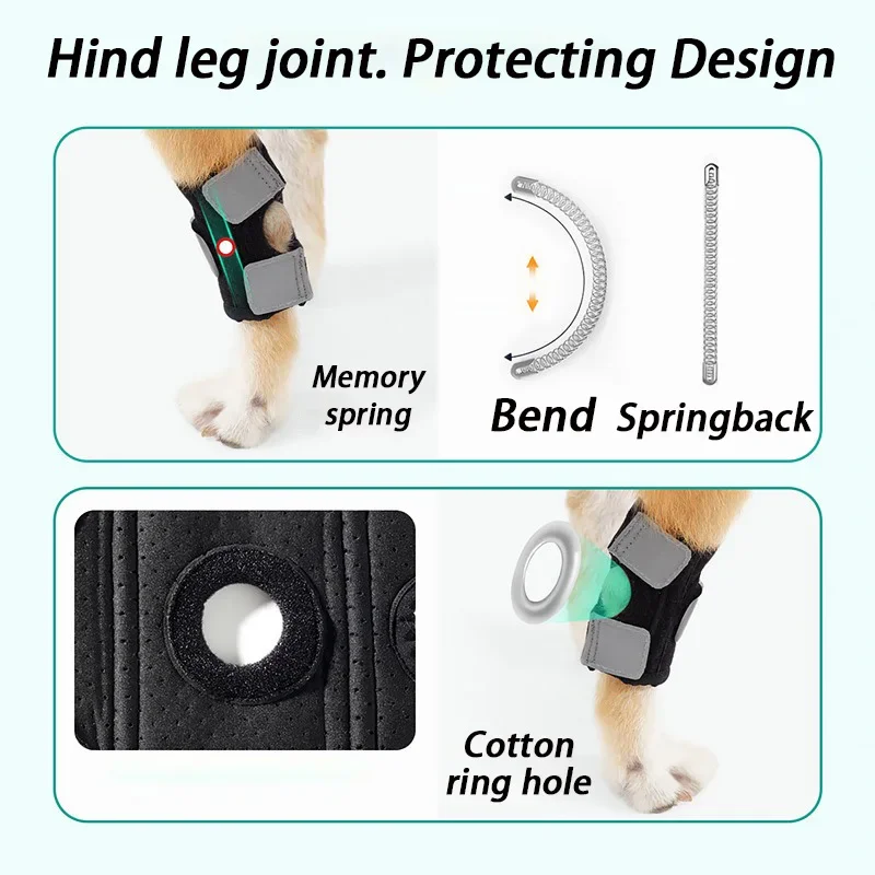 Rodilleras para perros mayores, soporte asistido, rodillera para ejercicio, cubierta de protección para piernas traseras, productos de rodillera de seguridad para perros, suministros para mascotas - imagen 3