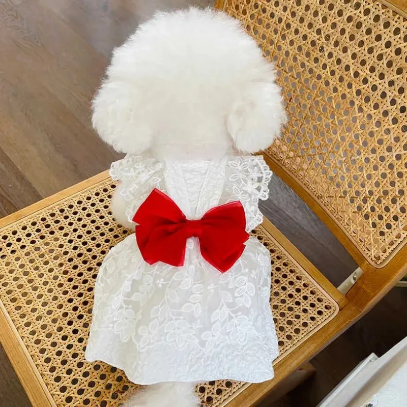 Ropa de verano para perros de encaje a la moda Ins, vestido de novia con lazo, vestido de encaje, ropa para perros Bichon de peluche, vestido hawaiano para perros, ropa bonita para cachorros - imagen 5