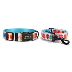 Pack collares grabados y correa a juego para perro y gato