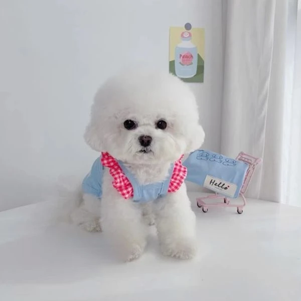 Camiseta sin mangas con correa de encaje para perro, ropa fina elástica con correa para las orejas, para gato, para mascotas - imagen 4