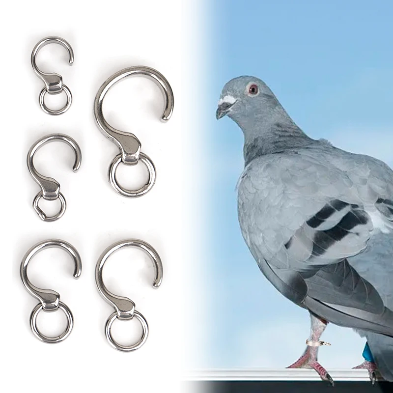 Tobillera de loro, tobillera de acero inoxidable, anillo de pájaro, Paloma, pata de loro, adiestramiento al aire libre, actividad, anillo de pie de apertura, suministros para pájaros - imagen 3
