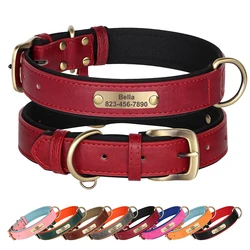 Collar de cuero acolchado suave para perros Pug personalizado