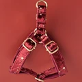 dog harness(Gold)