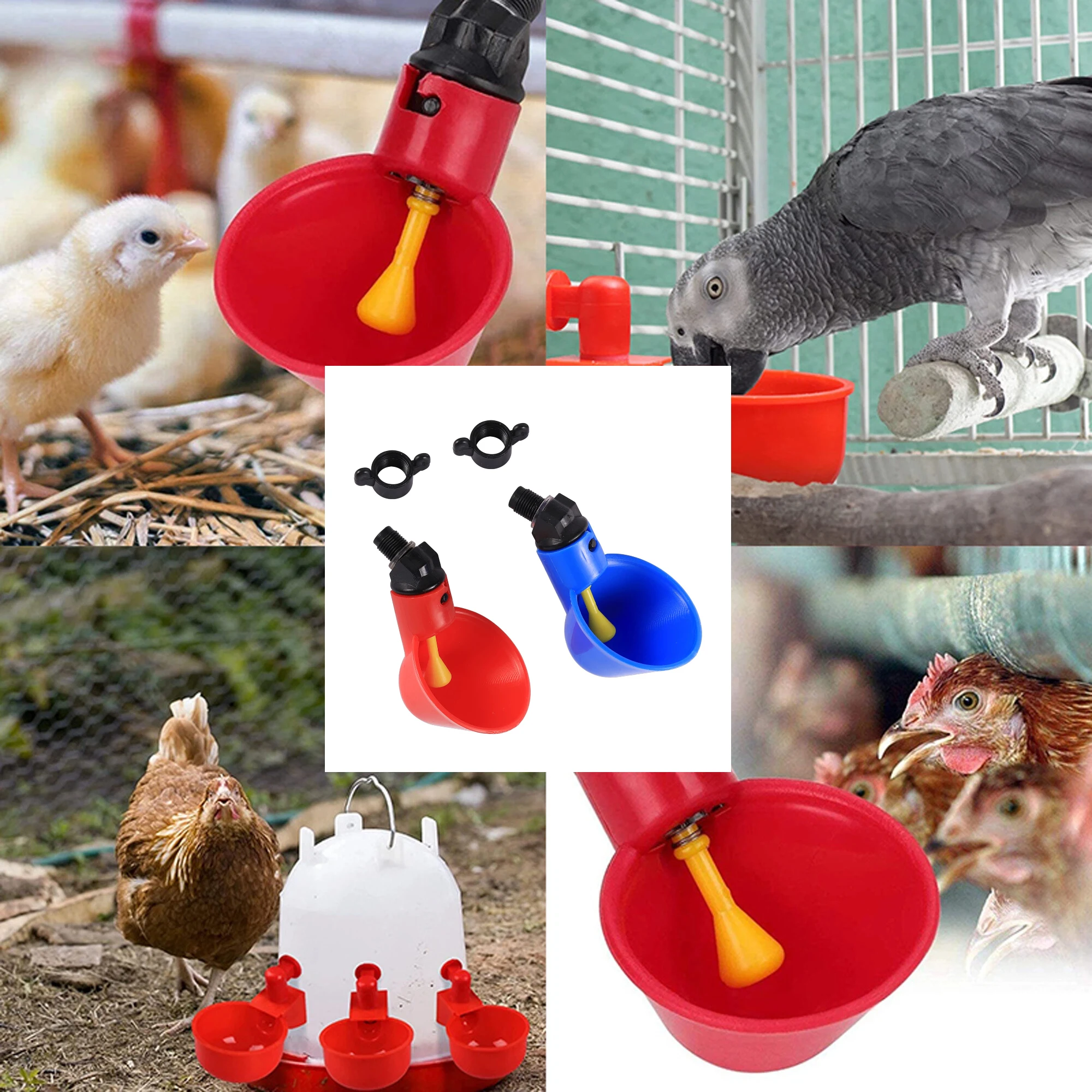 10 Uds. Cuenco automático para pollos, pato, ganso, codorniz, alimentador de agua, granja, aves de corral, gallinero, bebedero, tazas para beber, fácil instalación - imagen 2