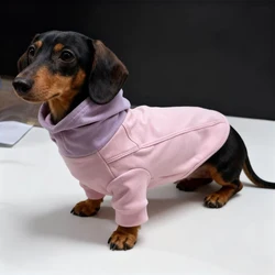 Abrigo de lana perro salchicha y pequeño – Cálido invierno