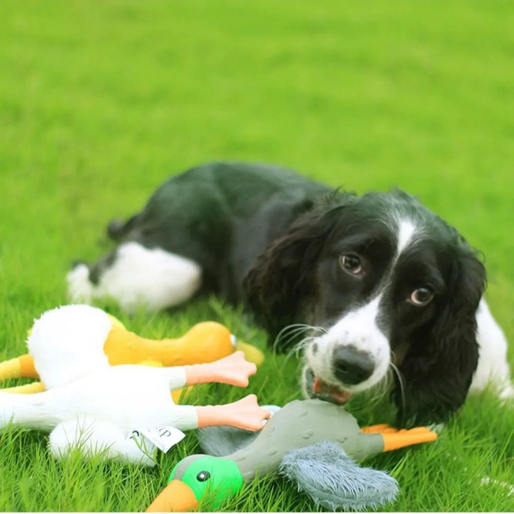 Juguete interactivo chirriante para perros, juguete para masticar Molar resistente a mordeduras con sonido divertido, juguete para aliviar el aburrimiento, - imagen 3