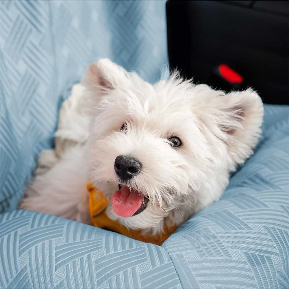 Estera para mascotas para coche, estera para asiento de seguridad para coche, cama para mascotas con autorrefrigeración de verano, estera para coche fresca de verano, estera para mascotas desmontable y lavable, azul - imagen 3