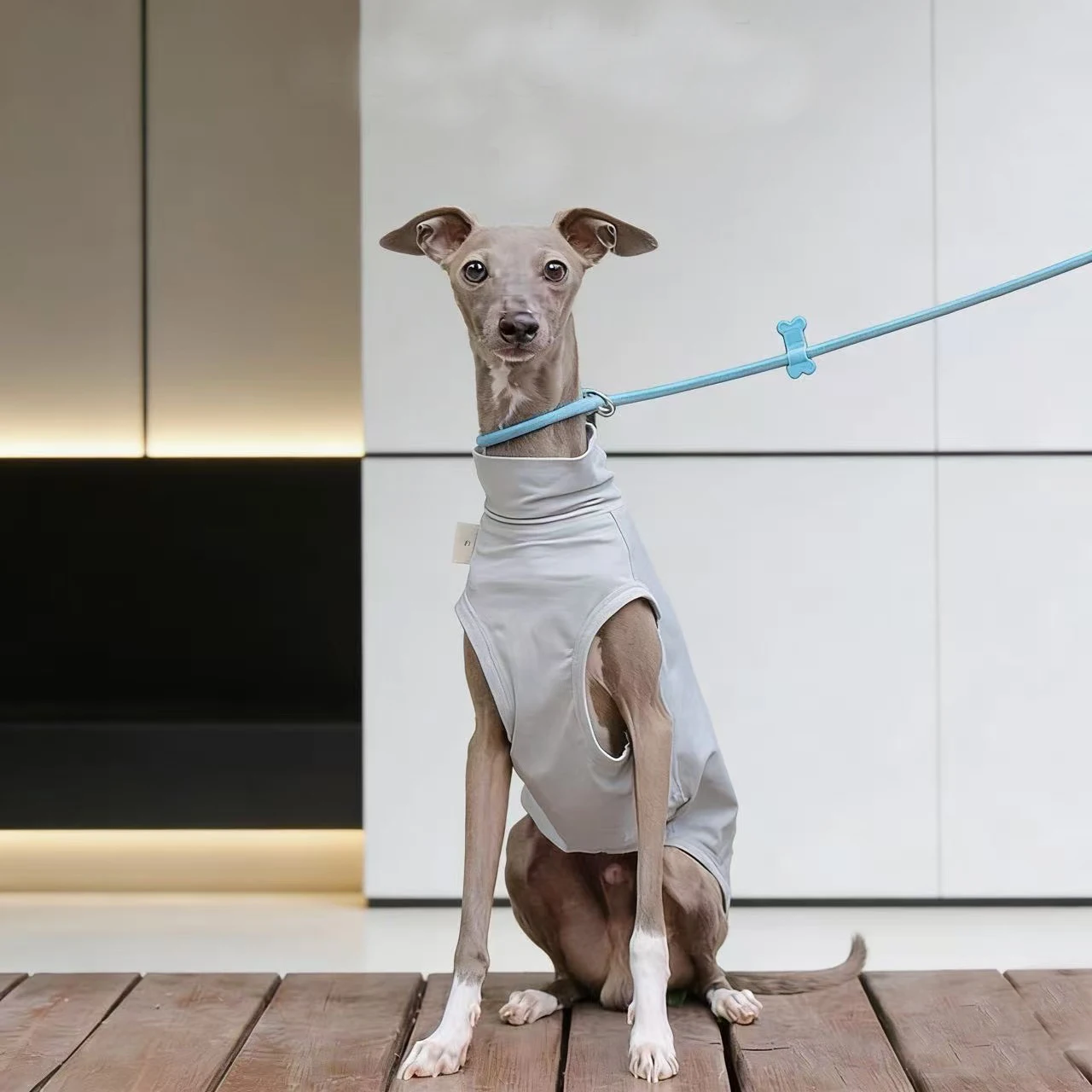 Chaleco frío para perros - tela de secado rápido y protección solar - imagen 2