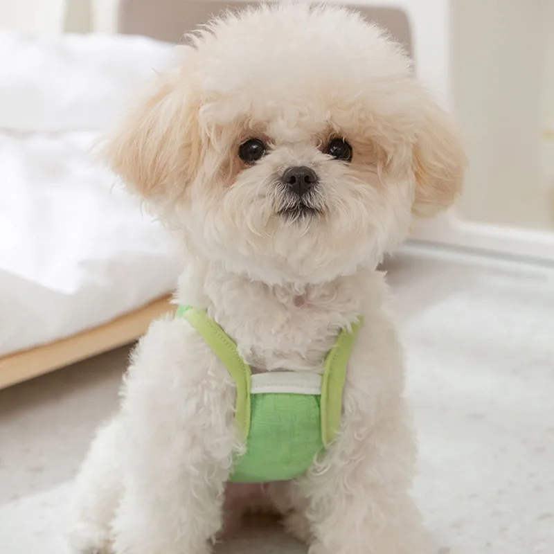 Chaleco fino de verano para perros, ropa con tirantes para perros, sudaderas para cachorros de Color dopamina, camisa con estampado de oso para gatos, chaleco transpirable para mascotas, ropa para perros - imagen 4