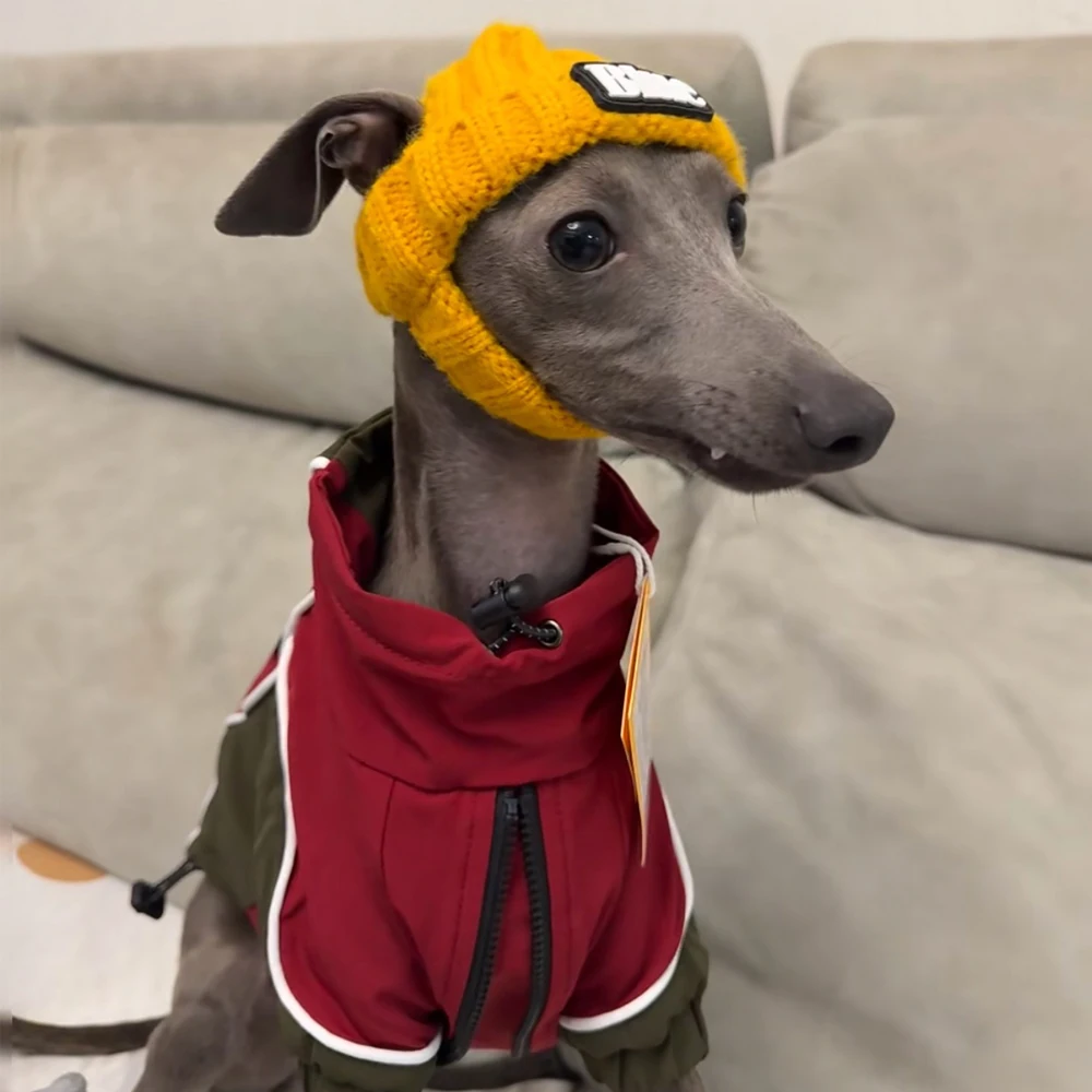 Gorro de lana tejido de galgo italiano hecho a mano a la moda en invierno decoración de cabeza de perro sombrero cálido para mascotas Whippet de primavera con orejas expostas - imagen 3