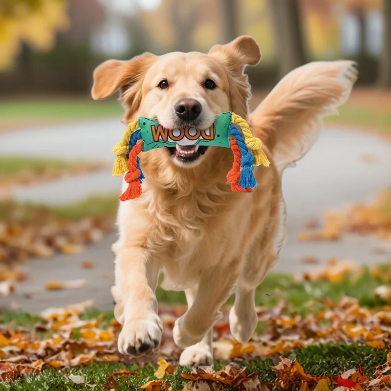 Juguete para masticar con cuerda de algodón arcoíris: cuerda dental anudada no tóxica para masticadores agresivos, juego interactivo y limpieza de dientes - imagen 2