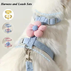 Arnés con correa para gato y perros pequeños – Transpirable y ajustable
