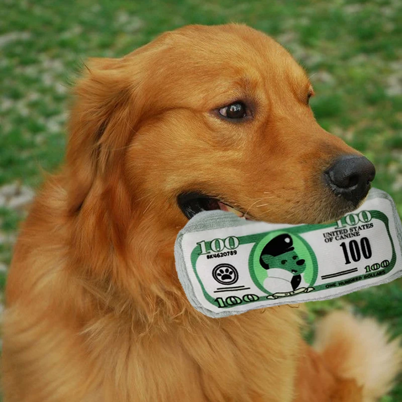 Simulación de dinero para perros, juguetes divertidos con sonido chirriante, papel resistente a morderse, masticar, juguetes para perros, dientes limpios, juguete para cachorros, suministros para mascotas - imagen 4