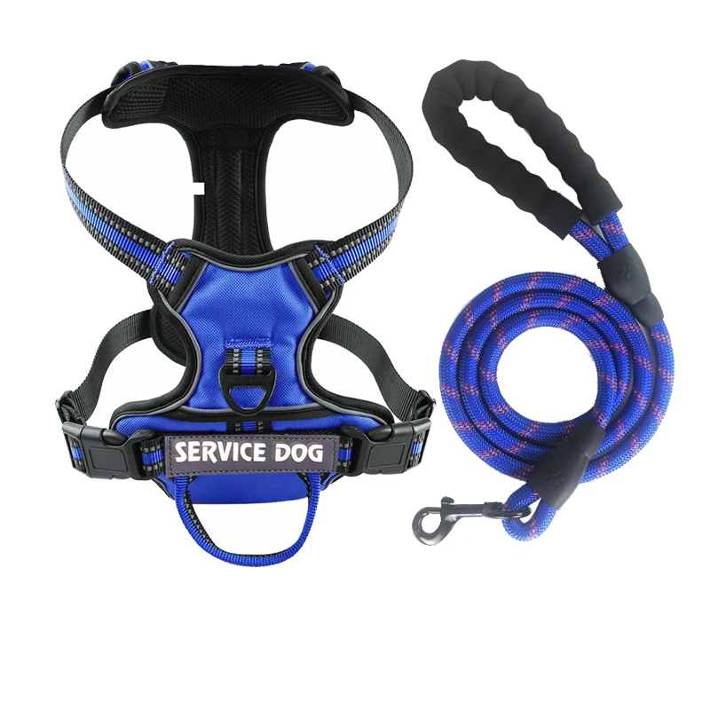 Blue Harness Set