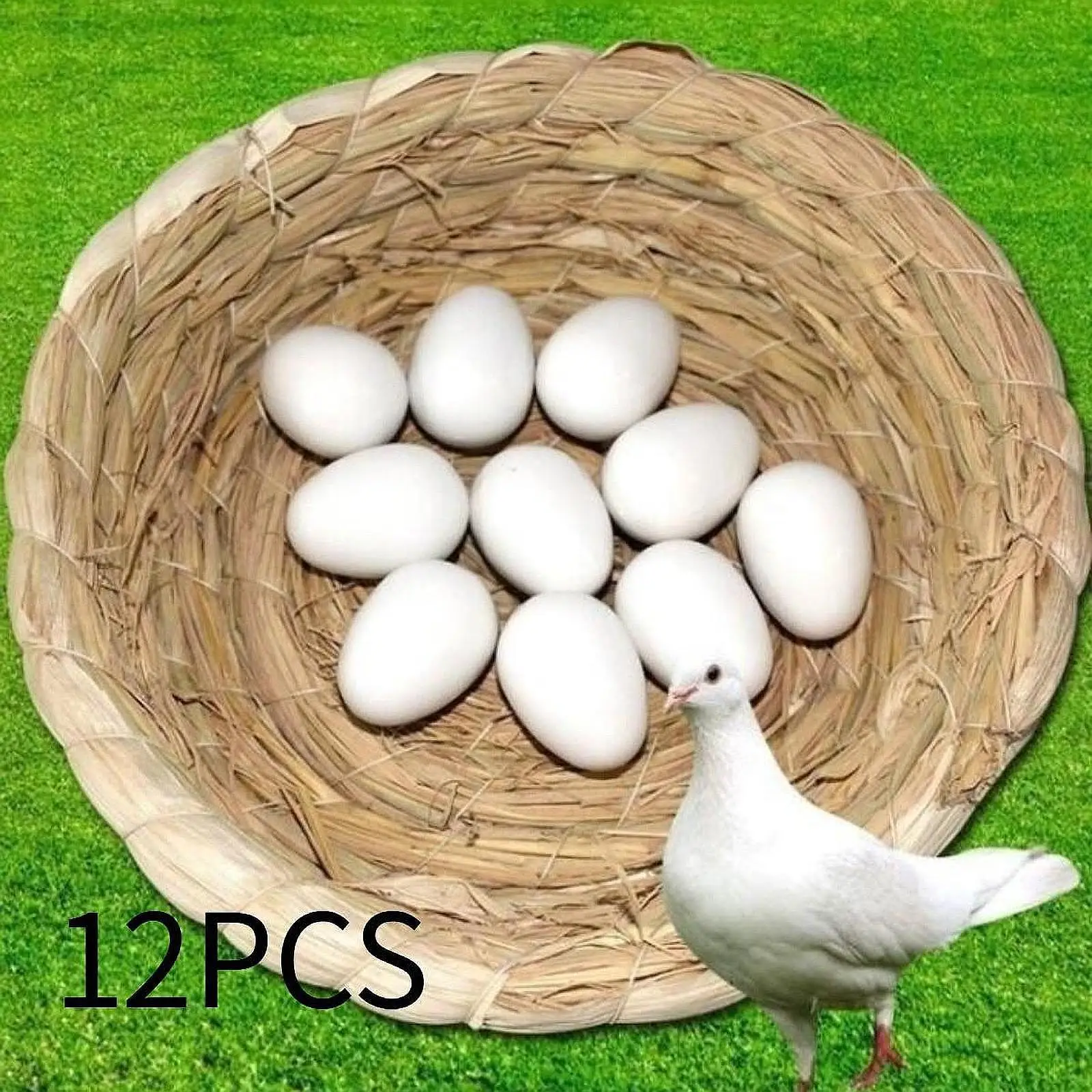 12Pcs Solid Pigeon Eggs,Artificial Eggs Easter Decoration Home Decor Dove False Eggs for Help Laying, Guiding Race Pigeons