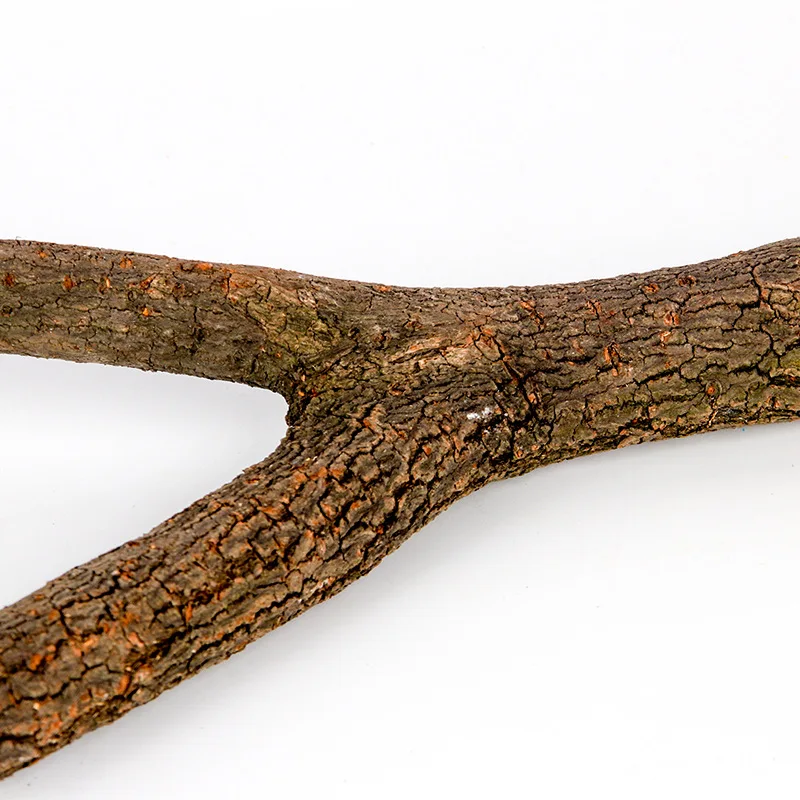 Tenedor de madera Natural para loros, tenedor de madera cruda, soporte para ramas de árbol, ardilla, pájaro, hámster, perchas, juguete para masticar, StickD9091, 15/20/30cm - imagen 5