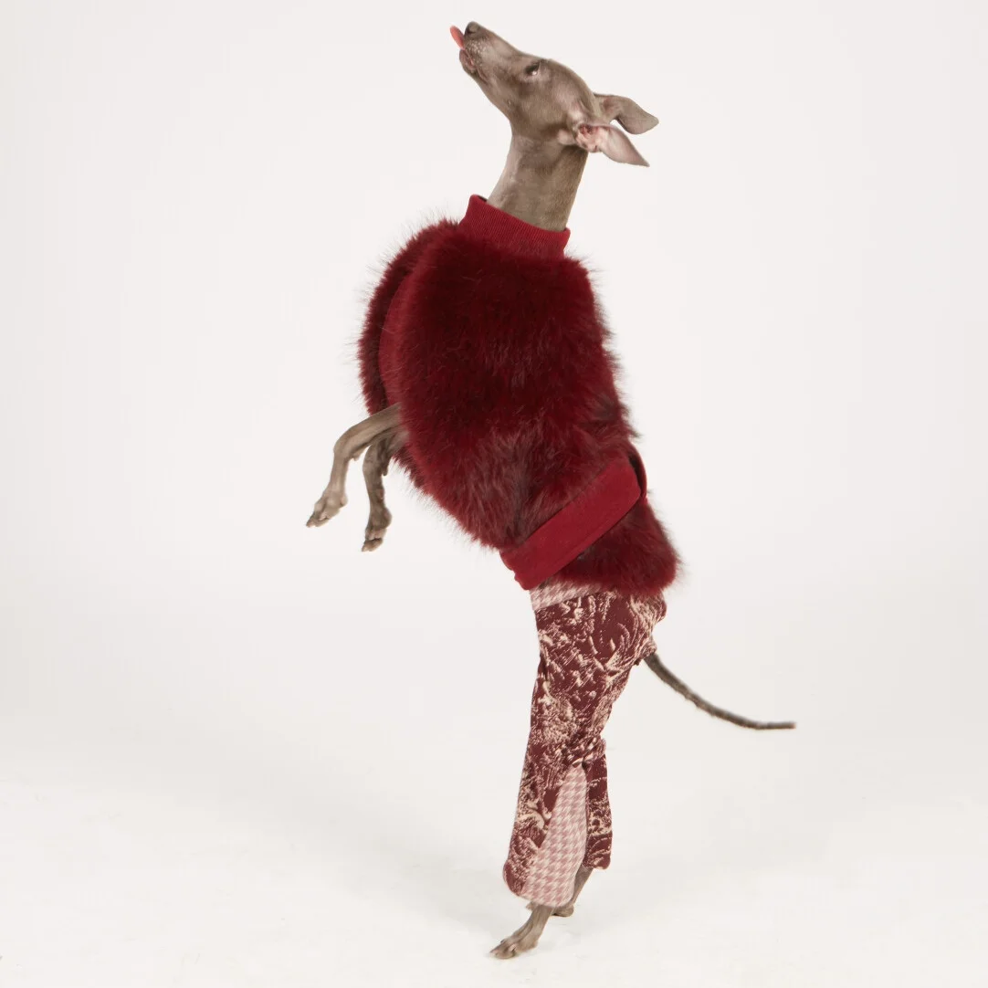Abrigo de felpa roja para galgo italiano y whippet – Chaqueta invierno - imagen 3