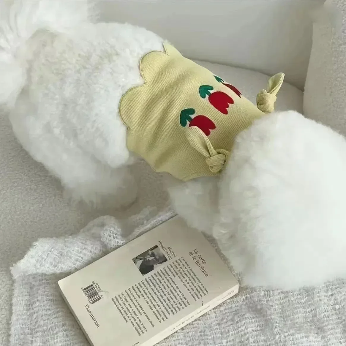 Ropa de verano para mascotas, camisola, ropa para perros, chaleco bonito para perros, cachorro, gato, mascota, Teddy, perro maltés, Yorkshire, ropa para cachorros pequeños - imagen 4