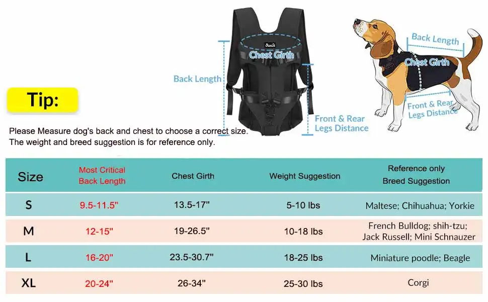 Perro relajado dentro de la mochila ATUBAN