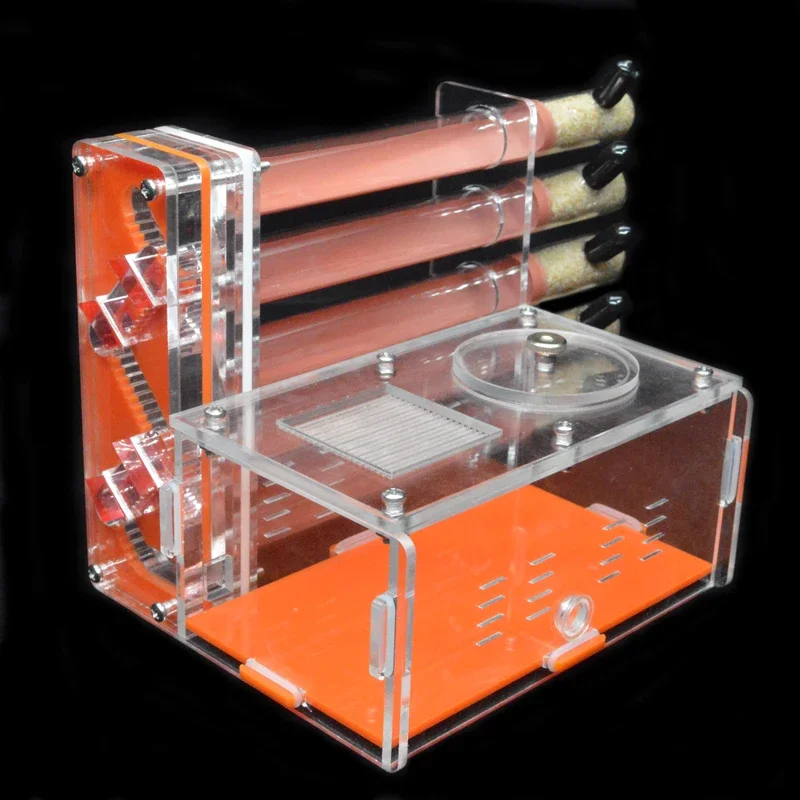 DIY acrílico granja de hormigas 5 uds 18-180mm nido de tubo de ensayo de yeso con área de alimentación antill para mascotas taller casa de hormigas Castillo de nido de hormiga de reina - imagen 2