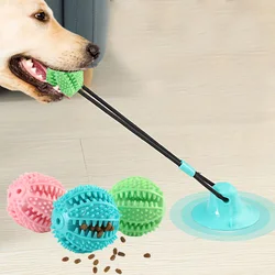 Juguete dispensador de golosinas para perros – Pelota con sonido y ventosa
