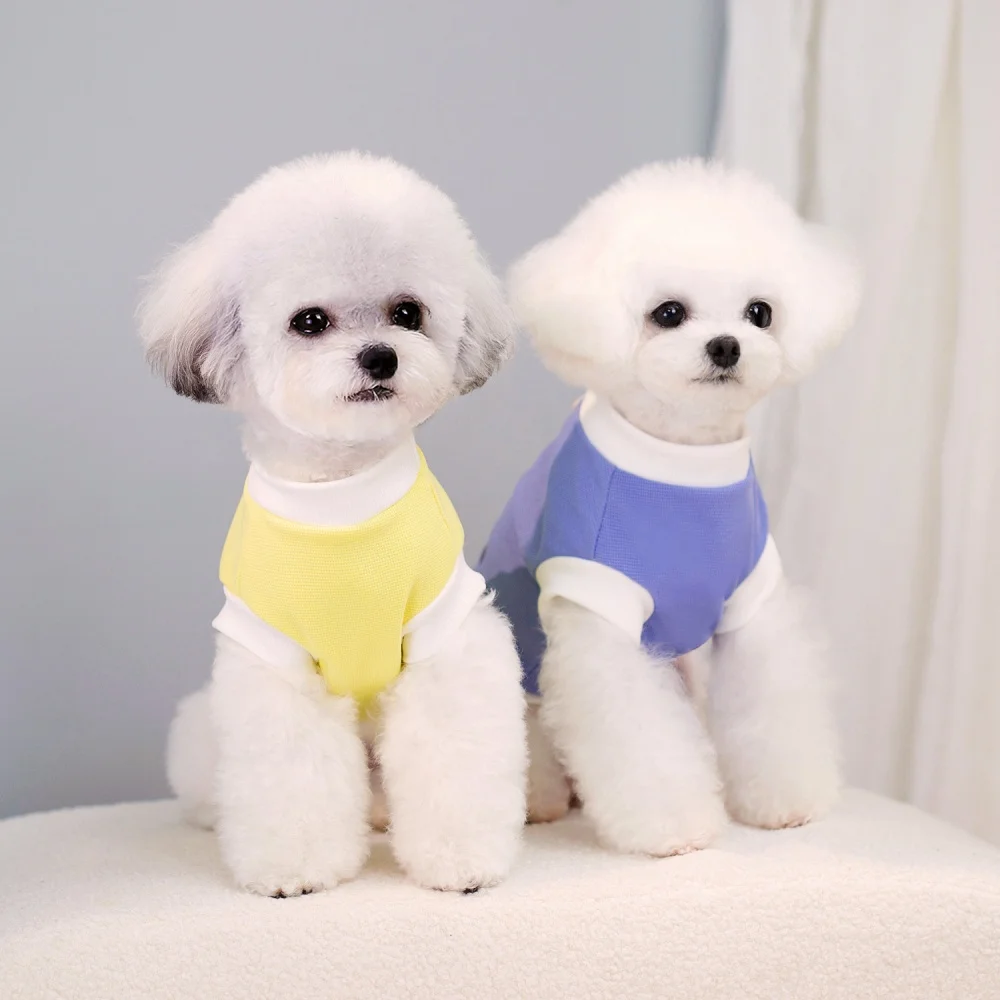 Ropa de primavera con dibujos animados para perros, chaleco tipo gofre para perros pequeños, cachorros, gatos, Yorkshire, Mini ropa para caniche, suministros para mascotas, S-XXL nuevo - imagen 5