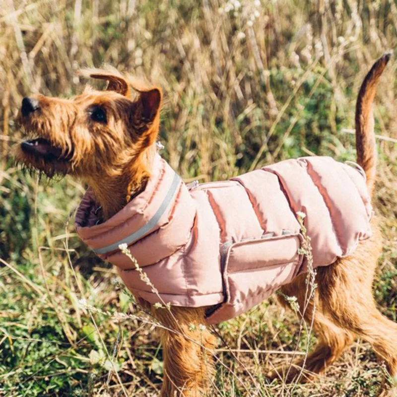 Chaqueta de plumón para perro de cuello alto, ropa impermeable de invierno para mascotas para perros pequeños y medianos, chaqueta Weimaraner de galgo, abrigo ubranie dla psa - imagen 4