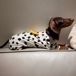 Sudadera térmica para Dachshund - Jersey de otoño para perro salchicha