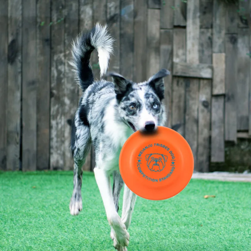 Disco volador para perros, flotante y resistente a mordidas práctico - imagen 4