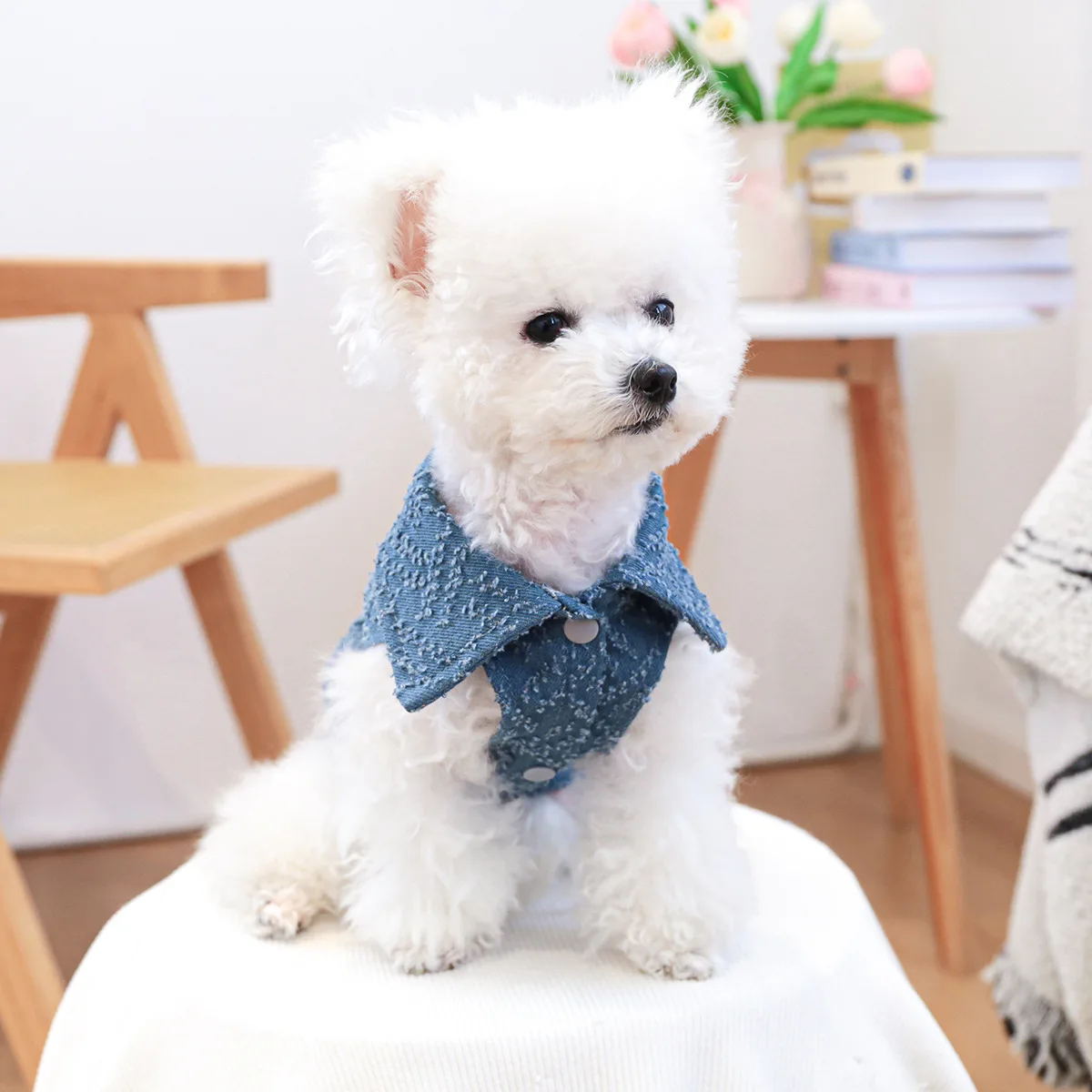 Chaleco vaquero para mascotas, ropa para gatos, abrigo de vaquero, ropa para cachorros, chaleco para disfraz de perro, primavera y otoño - imagen 3