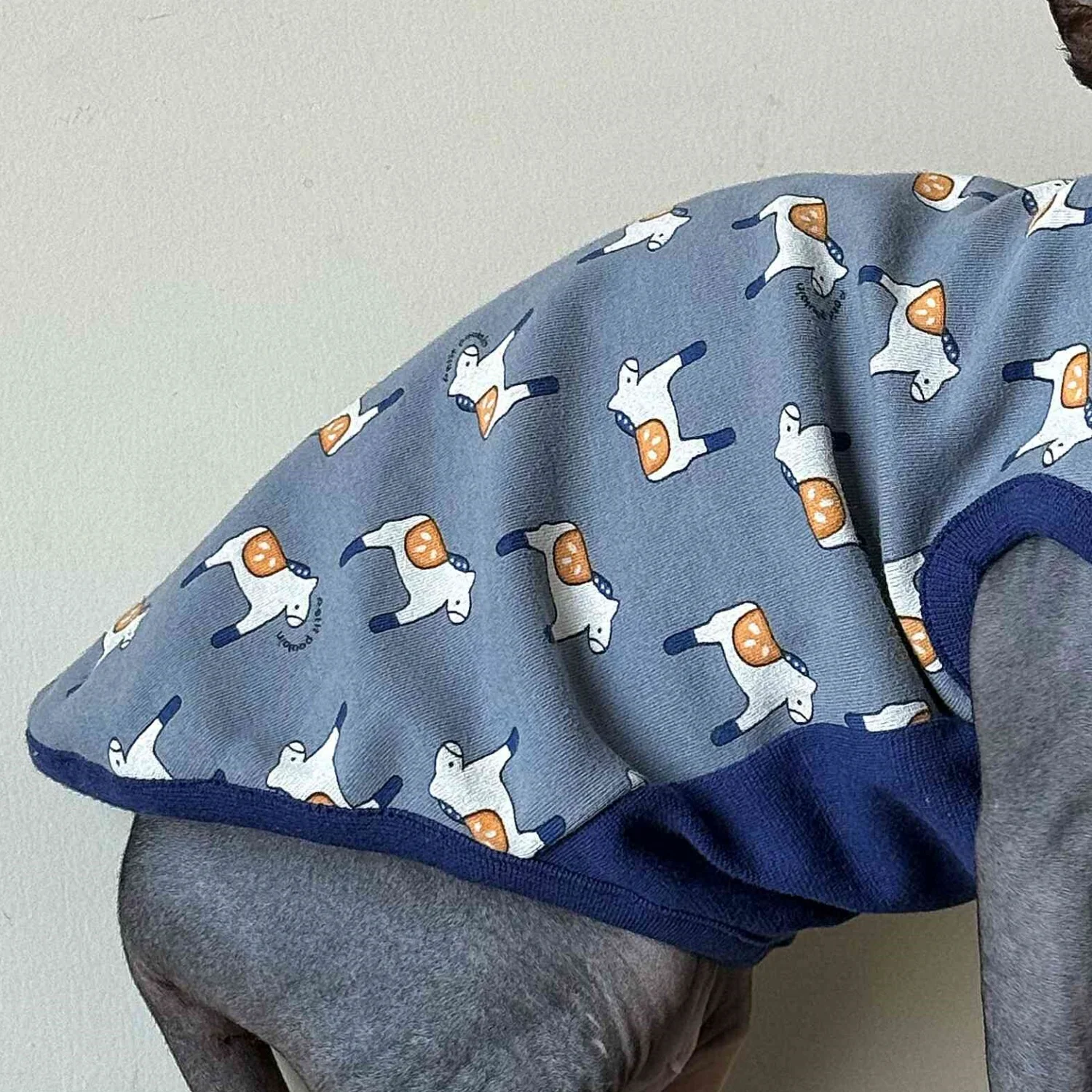Camiseta azul algodón manga corta gatos Sphynx Devon Rex caballo suave - imagen 4