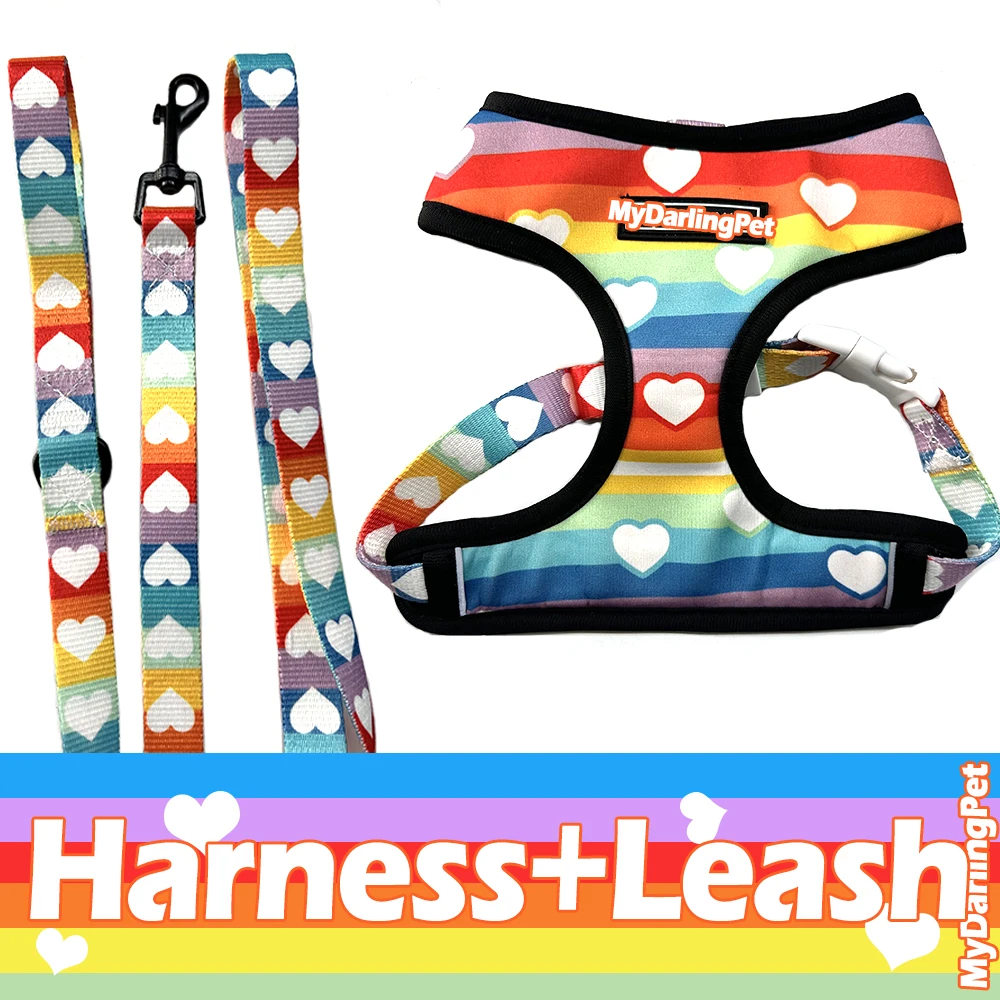 Rainbow Harnes Leash
