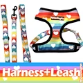 Rainbow Harnes Leash