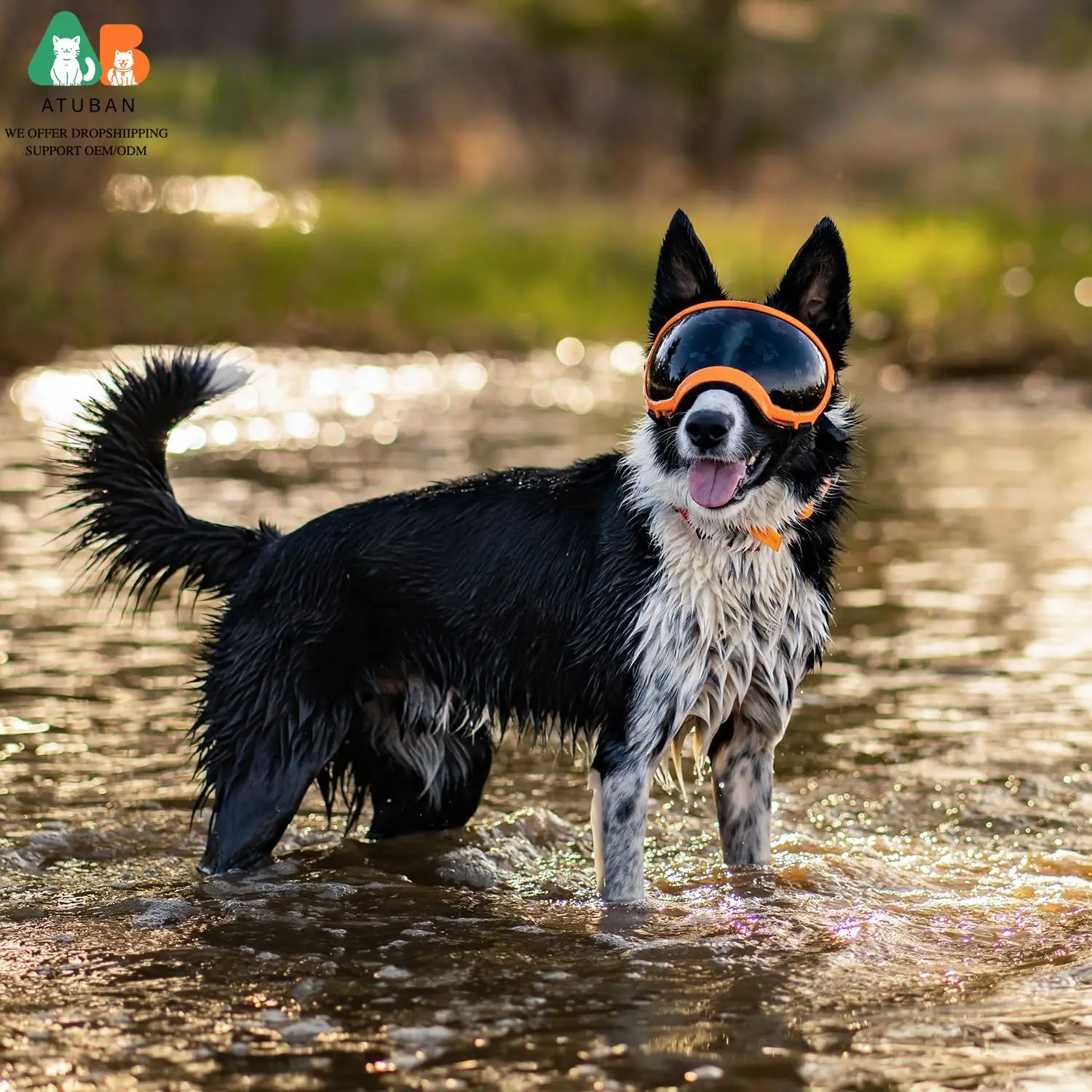 Gafas para perros Gafas de sol para perros Gafas de esquí para perros con protección UV Gafas de sol para mascotas con correa ajustable para viajes - imagen 5